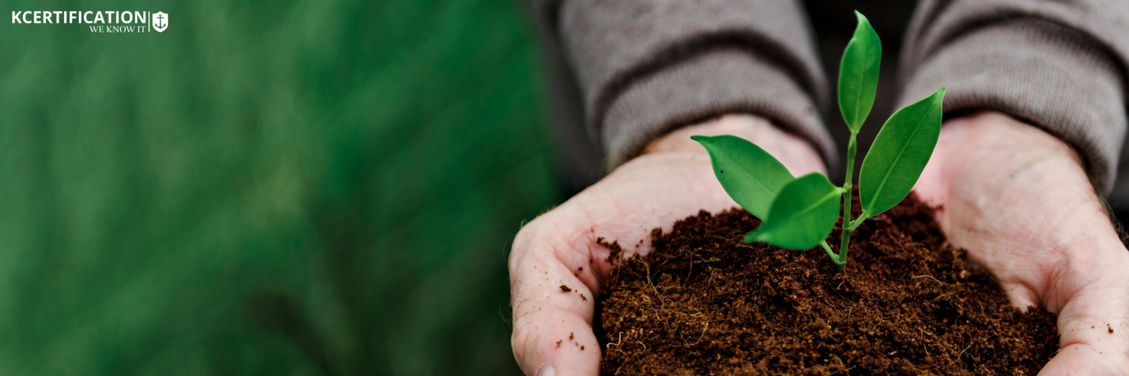 ISO 14001:2026 publicada: o que muda para a certificação ambiental?